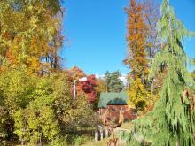 Jesień w Arboretum w Marculach