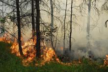 Uwaga pożary – apel o ostrożność w lasach
